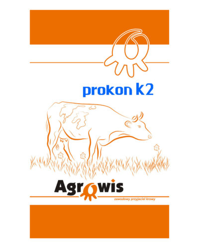 prokon_k2_2