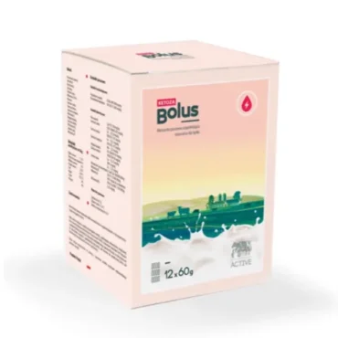 Bolus Ketoza