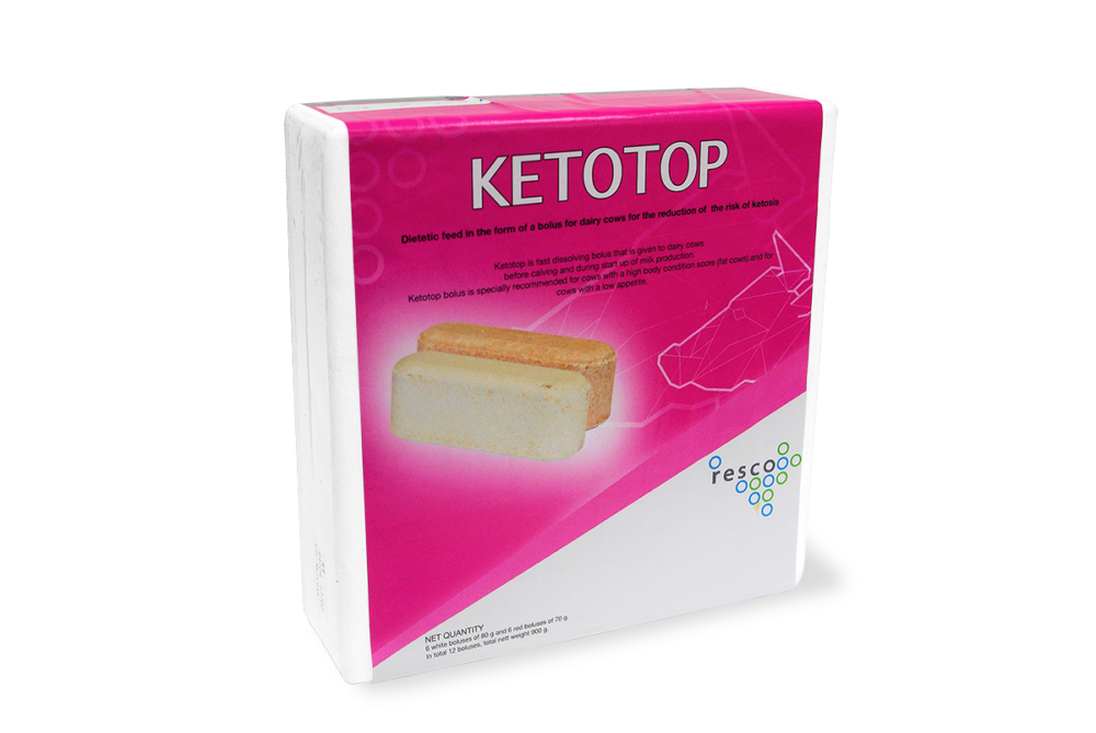 Bolus ketotop zmniejszenie ryzyka wystąpienia ketozy